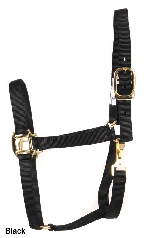 Deluxe 3-Ply Nylon Halter w/Snap Average Black