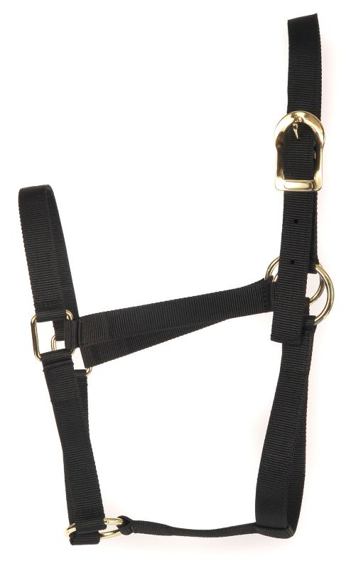 Basic 2-Ply Halter Average Black